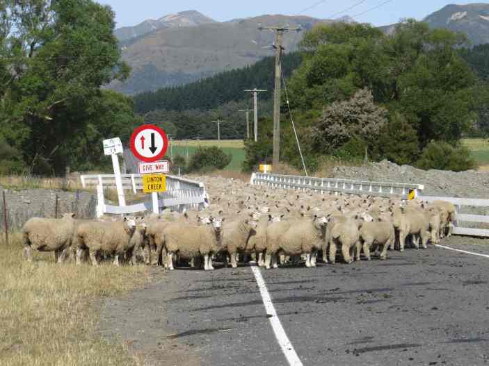 150104_Unterwegs_Süd_k