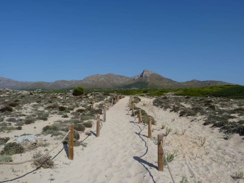 110812_Son_Serra_weg_k