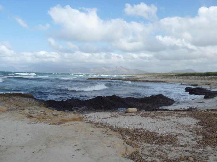 120830_casat_strand_1_k