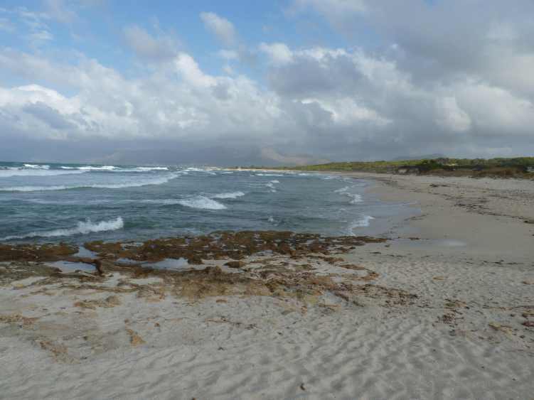 120830_casat_strand_2_k