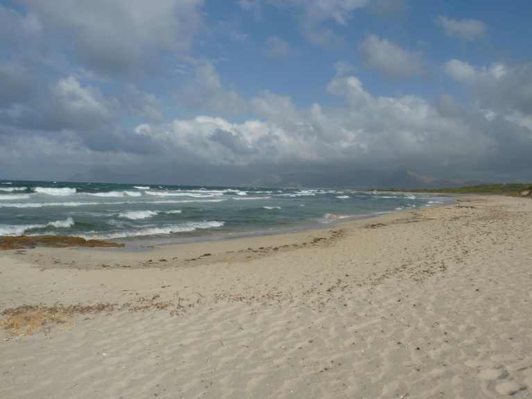 120830_casat_strand_3_k