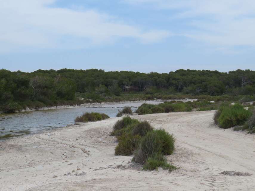 140602_Es_Trenc_Zufluss_k