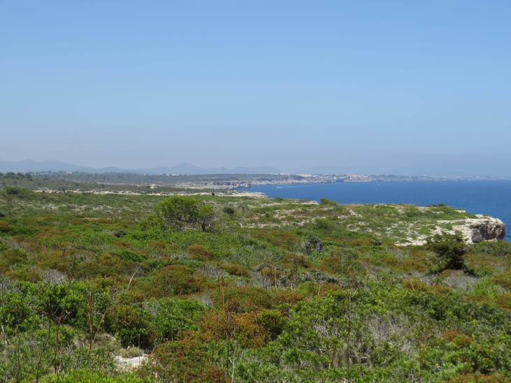 140605_Cala_Bota_Hochebene_k