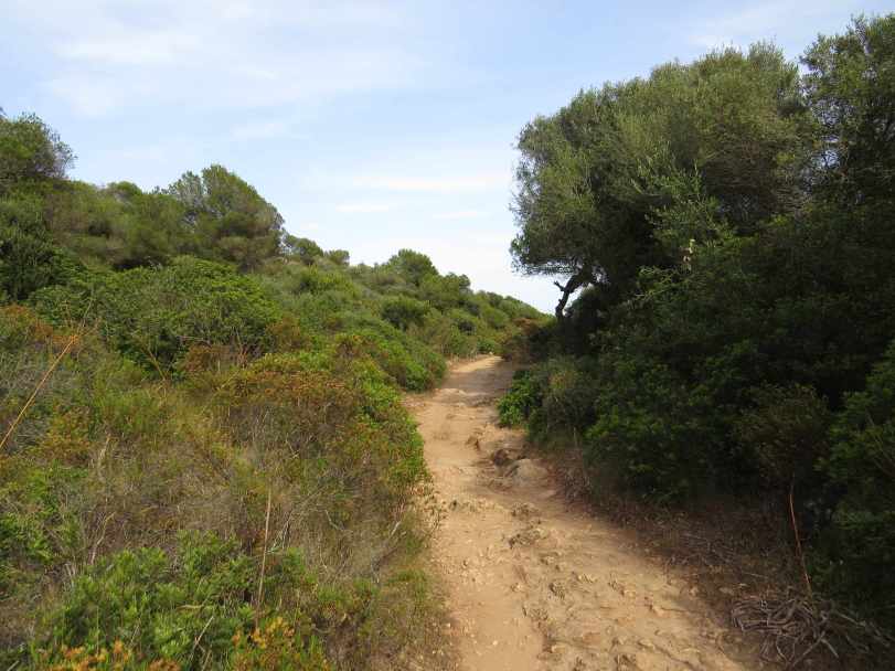 140606_Cala_Varques_Weg_k