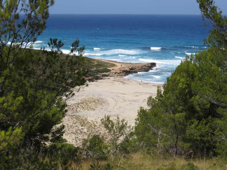 160806_sa_font_celada_5_k