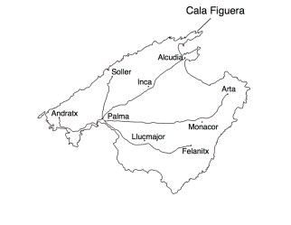 Mallorca_Figuera