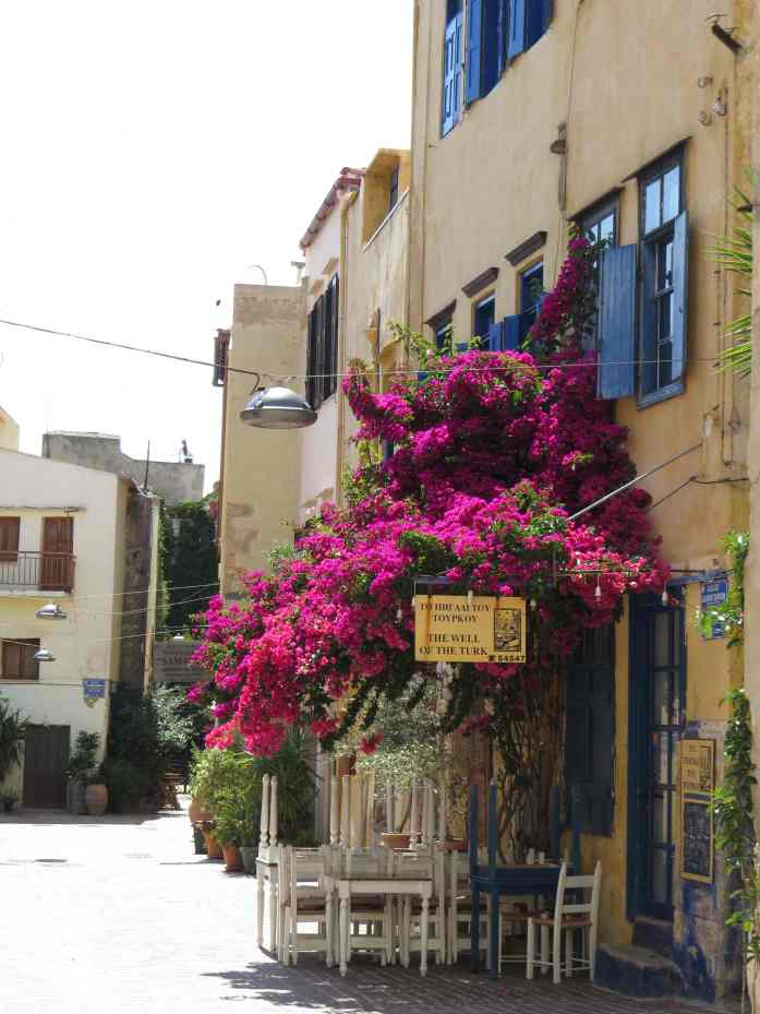 150531_Chania_Blumen_k