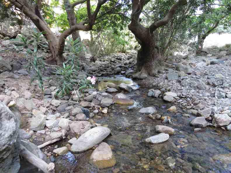 150603_Kampos_Bach_k