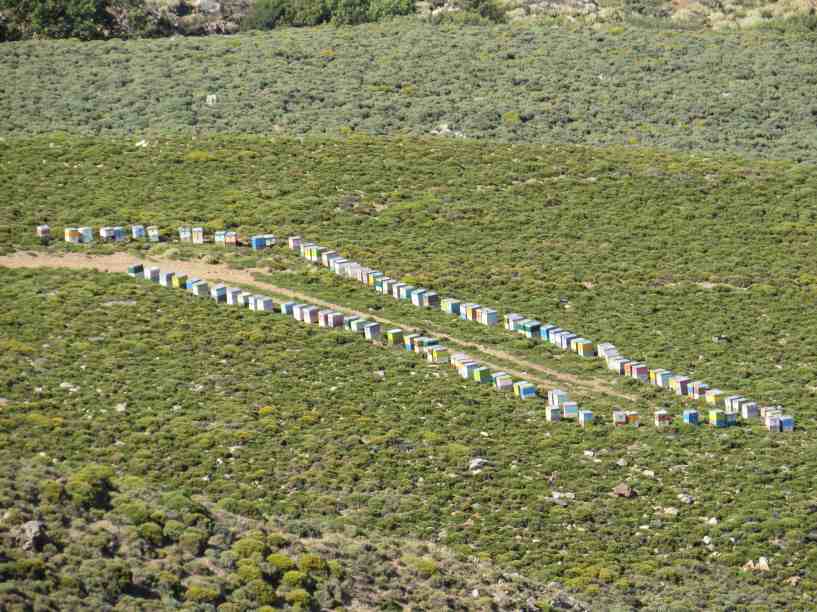 150603_Westküste_Bienenkörbe_k