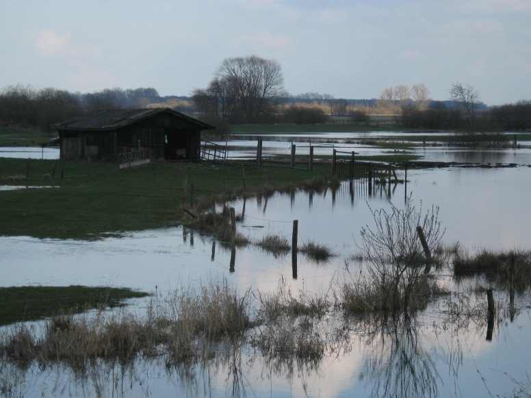 090329_KatreplerDeich_2_k