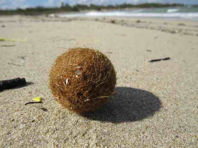 150928_Torre_Guaceto_Kugel_k