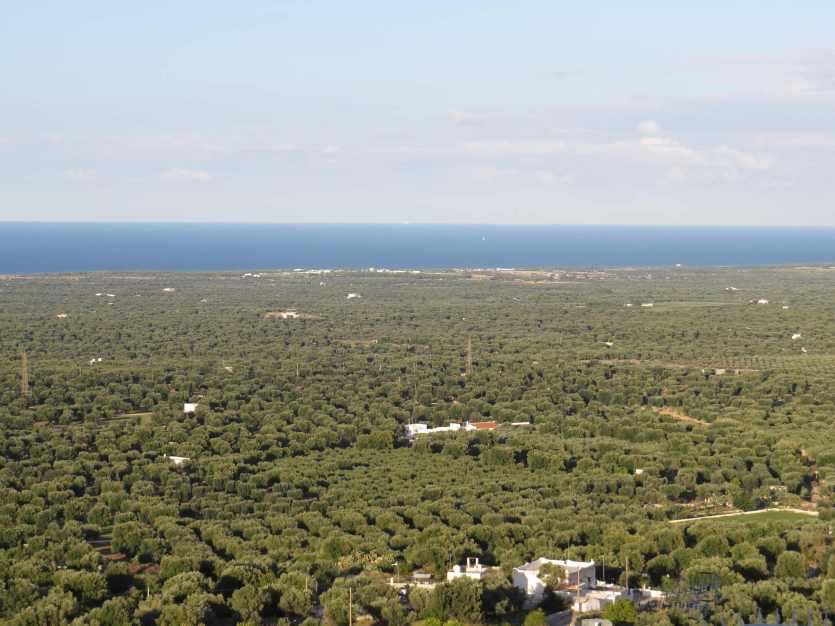 150928_Ostuni_Ausblick_k