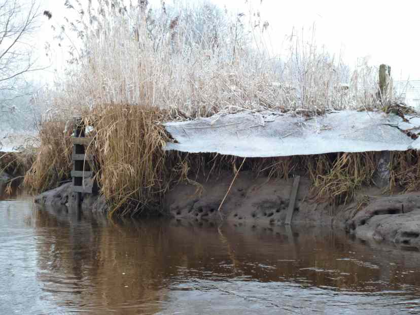 100103_Wümme_Leiter_k2