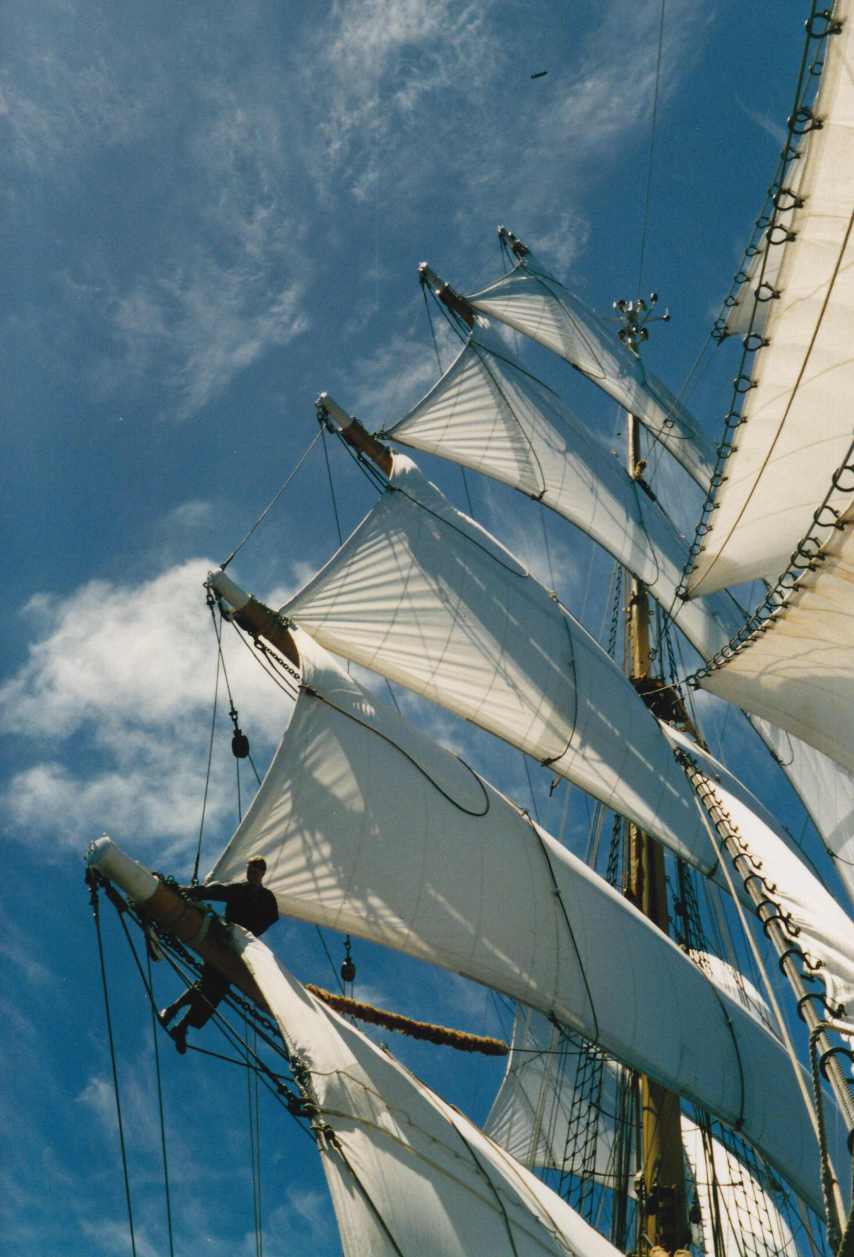 GF_Segel_von_unten_2_k