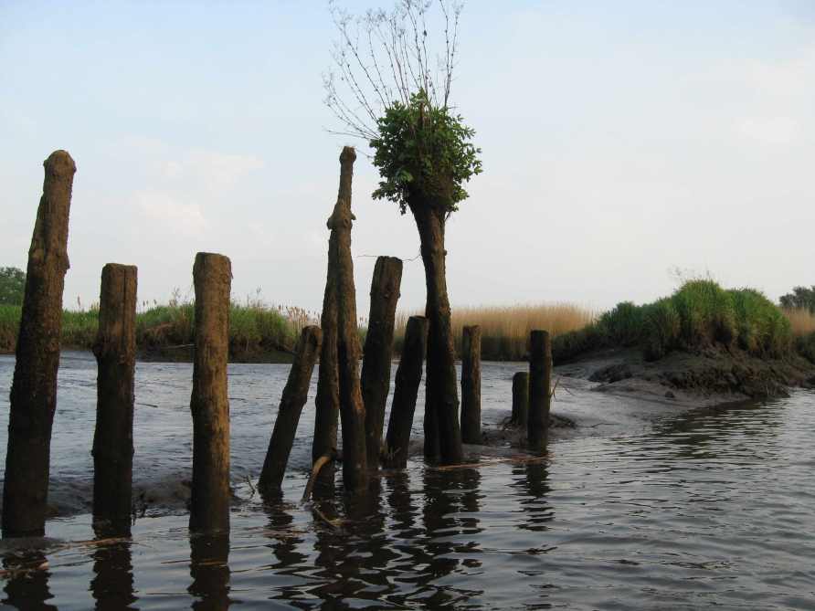 090502_Wuemme_Dalben_k