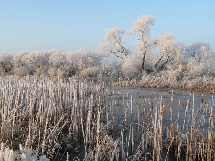 071223_winter_borgfeld_2_k