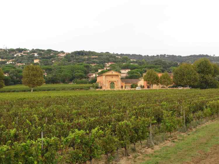 180918_Ramatuelle_Weingut_k